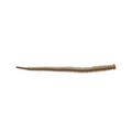 Berkley Gulp! Isome Worms