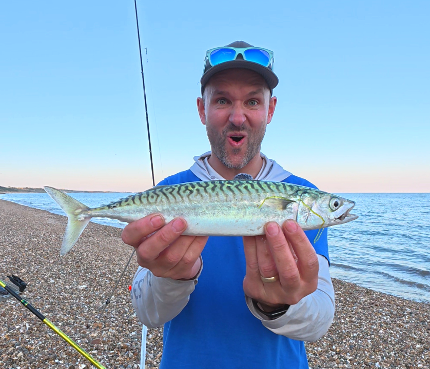 Fishy Tom Pop Up Rig